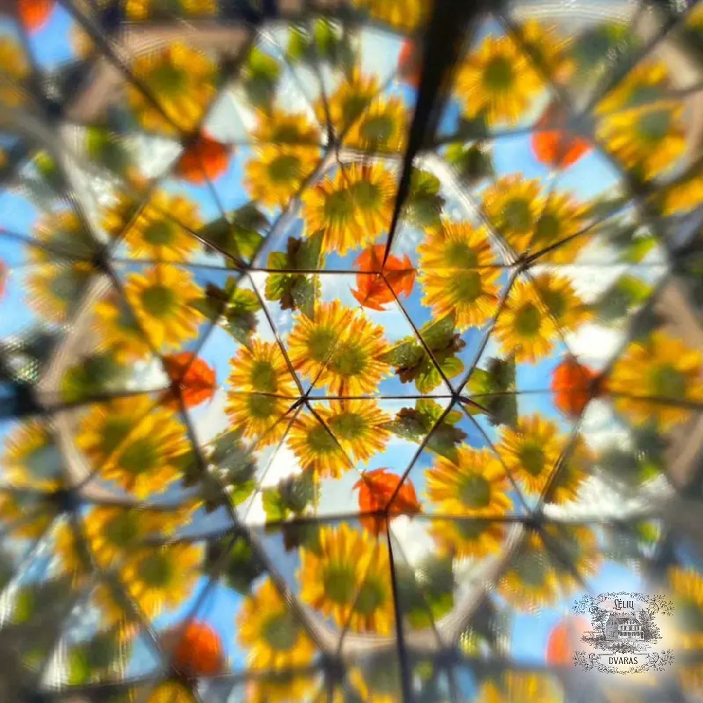 Stebuklingas kaleidoskopas