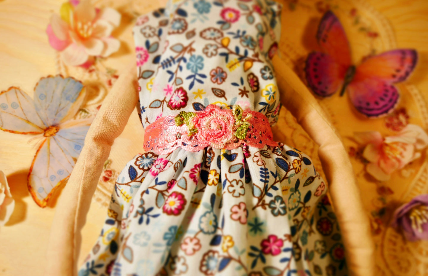 Stilingoji pelytė Paula