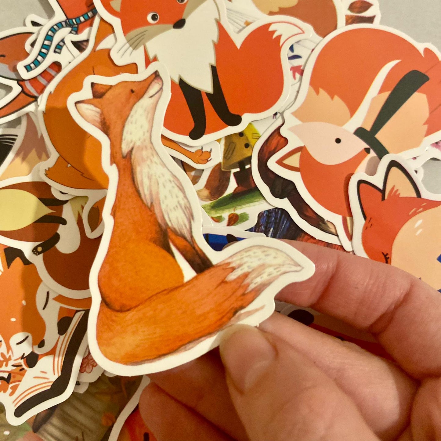 Lipdukų rinkinys "Laputės džiaugsmai"